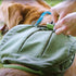Kurgo Cascade Dog Harness Green Medium - Poudre Pet & Feed Supply 2